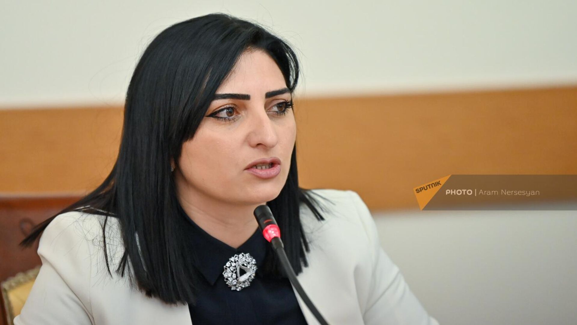 Тагуи Товмасян на заседании Постоянной комиссии НС по защите прав человека и общественным вопросам (4 апреля 2022). Еревaн - Sputnik Армения, 1920, 22.05.2023