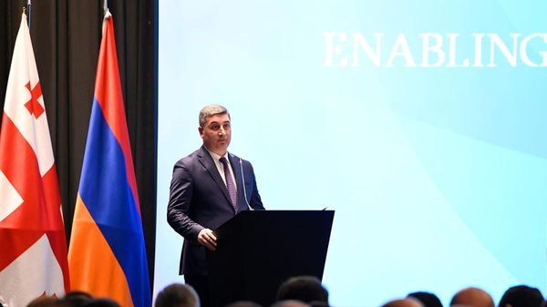 Министр территориального управления и инфраструктур РА Гнел Саносян на открытии бизнес-форума Армения-Грузия (7 апреля 2023). Тбилиси - Sputnik Արմենիա