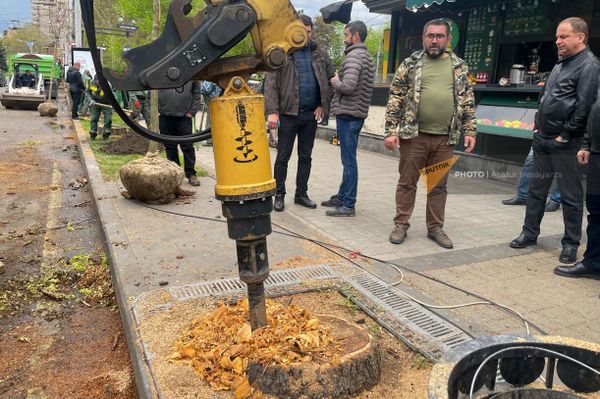 НКО Озеленение и охрана окружающей среды вырубает старые и сажает новые деревья на проспекте Саят-Нова (13 апреля 2023). Еревaн НКО Озеленение и охрана окружающей среды вырубает старые и сажает новые деревья на проспекте Саят-Нова (13 апреля 2023). Еревaн - Sputnik Армения