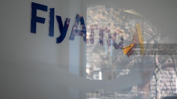 Логотип авиакомпании Fly Arna Национальные Авиалинии Армении  - Sputnik Армения