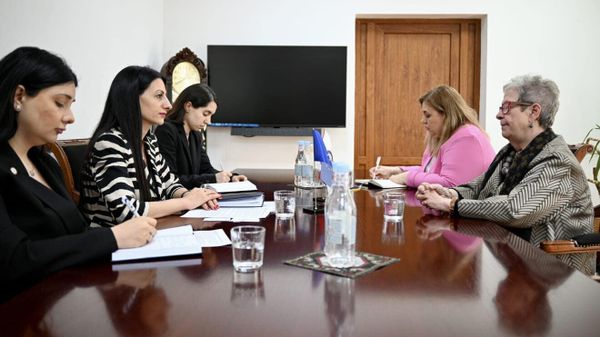 Մանասյանը Վիկտորինին է ներկայացրել Սյունիքում առկա անվտանգային հիմնահարցերը - Sputnik Արմենիա