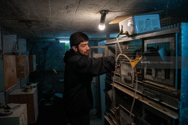 Самвел Арутстамян, основавший бизнес по кролиководству после реабилитации в Доме солдата - Sputnik Армения