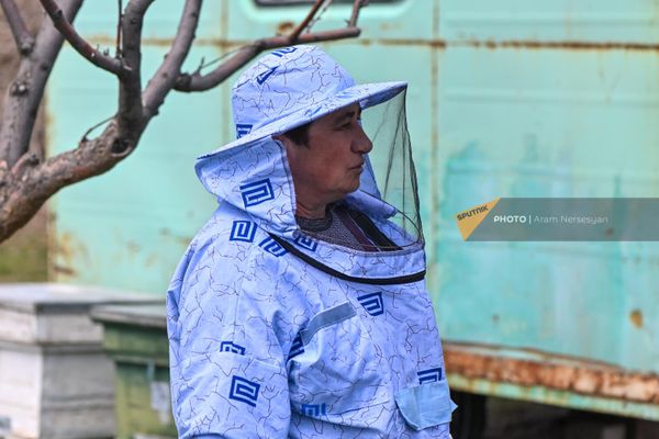 Пчеловод Вардуш Хачатрян, основавшая бизнес в рамках гранта военнослужащим, получившим ранения. - Sputnik Армения