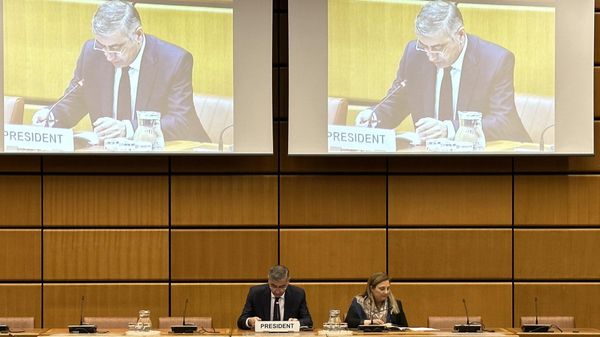 Посол РА Армен Папикян избран председателем группы послов франкоязычных стран в Вене (28 апреля 2023). Австрия - Sputnik Армения