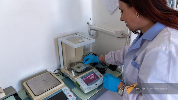 Сотрудница отдела материаловедческих экспертиз Национального бюро экспертиз работает с марихуаной - Sputnik Армения
