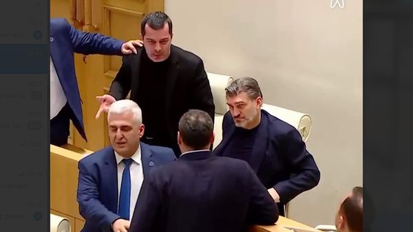 Во время выступления в парламенте главы МВД Грузии Вахтанга Гомелаури подрались депутаты. - Sputnik Армения