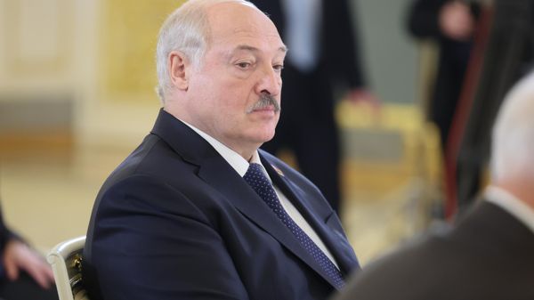 Президент Республики Беларусь Александр Лукашенко на заседании высшего Евразийского экономического совета (ВЕЭС) в узком составе (25 мая 2023). Москва - Sputnik Армения
