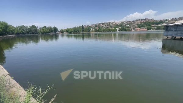 Երևանի Վարդավառի լճում անկած ձկներ են հայտնաբերվել - Sputnik Արմենիա