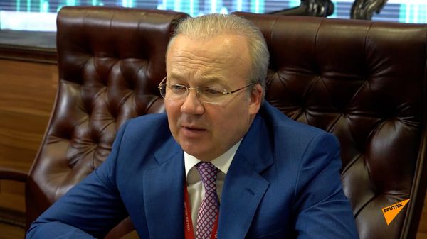 Назаров: более 61% экспорта из Башкортостана в Армению — продукция химической промышленности - Sputnik Армения