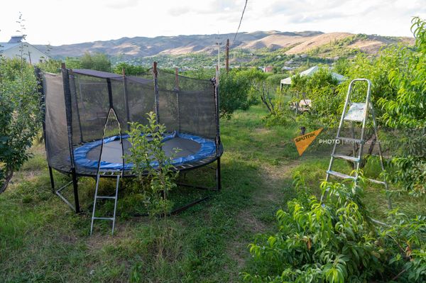Ոզնիների այգին - Sputnik Արմենիա
