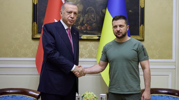 Встреча президентов Украины и Турции Владимира Зеленского и Реджепа Тайипа Эрдогана (18 августа 2022). Львов - Sputnik Армения