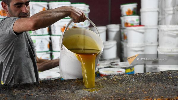 Процесс очищения собранного отработанного растительного масла от пищевых отходов - Sputnik Армения