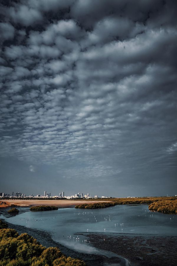 Снимок из серии UAE Diverse Natural Beauty филиппинского фотографа Donell Gumiran, занявшего 1-е место в категории Sponsored by ‘Canon’ конкурса World’s Coolest Winter Photography Competition 2023 by HIPA. - Sputnik Армения
