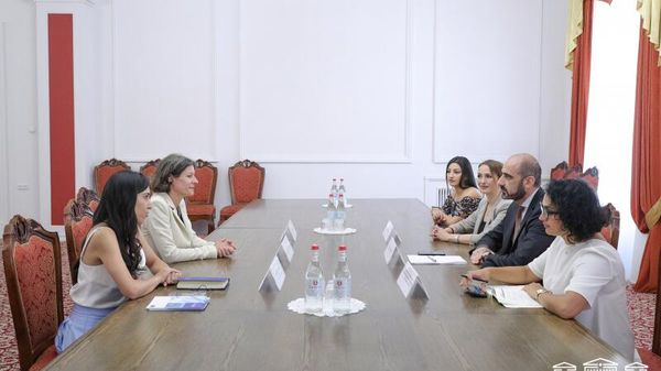 ԵԽ ներկայացուցիչները ՀՀ ԱԺ-ում քննարկել են կենսաբժշկության մեջ նոր չափորոշիչների ներդրումը - Sputnik Արմենիա