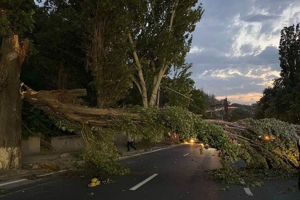 Քամին վնասներ է հասցրել Երևանի տարբեր շրջաններում - Sputnik Արմենիա