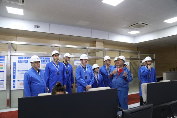Գնել Սանոսյանը Չինաստանի«Շանսի-Նաիրիտ» հայ–չինական համատեղ ձեռնարկություն - Sputnik Արմենիա