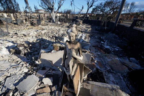 Вследствие лесных пожаров уничтожено несколько городов - Sputnik Армения