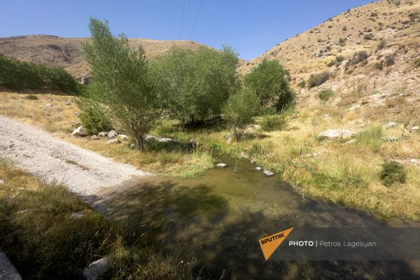 Испорченный из-за нехватки воды урожай в селе Зангакатун - Sputnik Армения