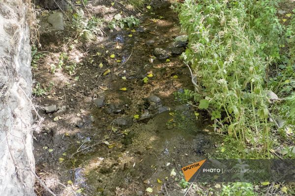 Испорченный из-за нехватки воды урожай в селе Зангакатун - Sputnik Армения