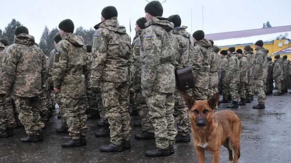 Начало очередного этапа подготовки подразделений ВСУ во Львовской области - Sputnik Армения