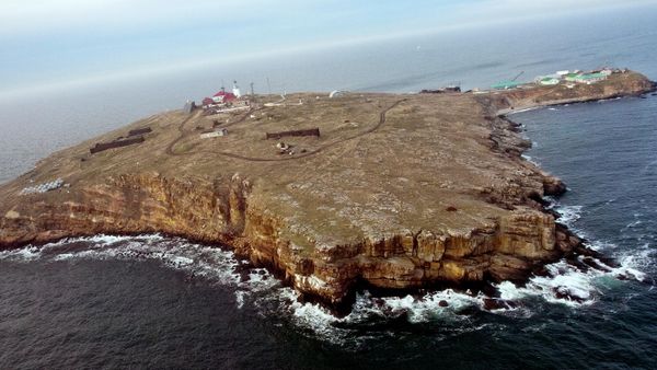 Остров Змеиный в Черном море. Архивное фото
 - Sputnik Армения