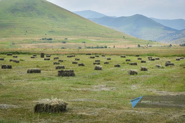 Ուրասարի դաշտերից մեկը - Sputnik Արմենիա