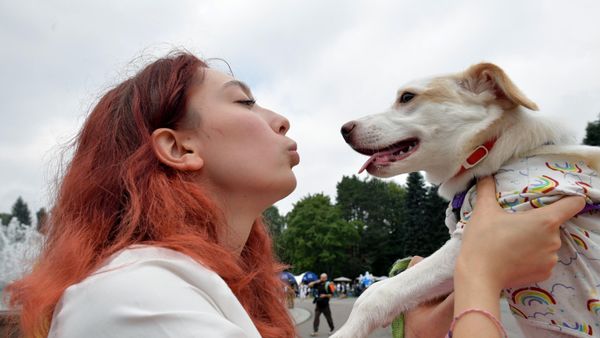 Фестиваль домашних любимцев Petshop Days в Петербурге - Sputnik Армения