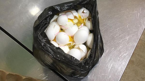 Сотрудники Инспекционного органа по безопасности пищевых продуктов обнаружили испорченные продукты питания в средней школе Дзорахбюра - Sputnik Армения