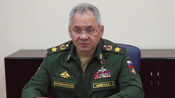 Глава Минобороны РФ Сергей Шойгу  - Sputnik Армения
