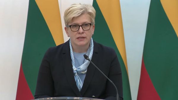 Премьер-министр Литвы Ингрида Шимоните во время пресс-конференции с армянским коллегой (19 октября 2023). Еревaн - Sputnik Армения