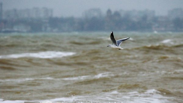 Шторм в Черном море - Sputnik Армения