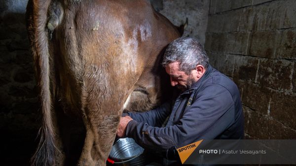 Переселенец из Кашатаха Нагорного Карабаха Унан Мнацаканян в селе Ардашен Сюникской области - Sputnik Армения