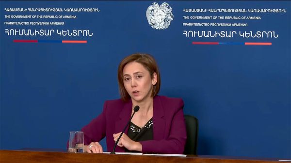 Замминистра труда и соцобеспечения Анна Жамакочян во время брифинга (31 октября 2023). Еревaн - Sputnik Армения