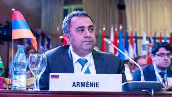 Замминистра иностранных дел Армении Ваге Геворгян на конференции Франкофония (4 ноября 2023). Яунде - Sputnik Армения