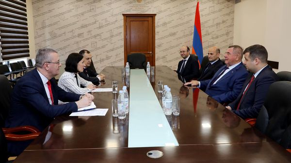 Министр ОНКС Жанна Андреасян приняла президента Международной федерации самбо (FIAS) Василия Шестакова (11 ноября 2023). Еревaн - Sputnik Армения