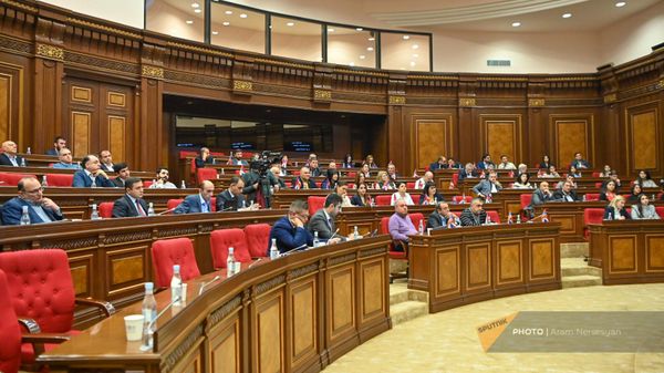Парламентские слушания по проекту заявления НС, представленному гражданской инициативой Айакве (24 ноября 2023). Еревaн - Sputnik Армения