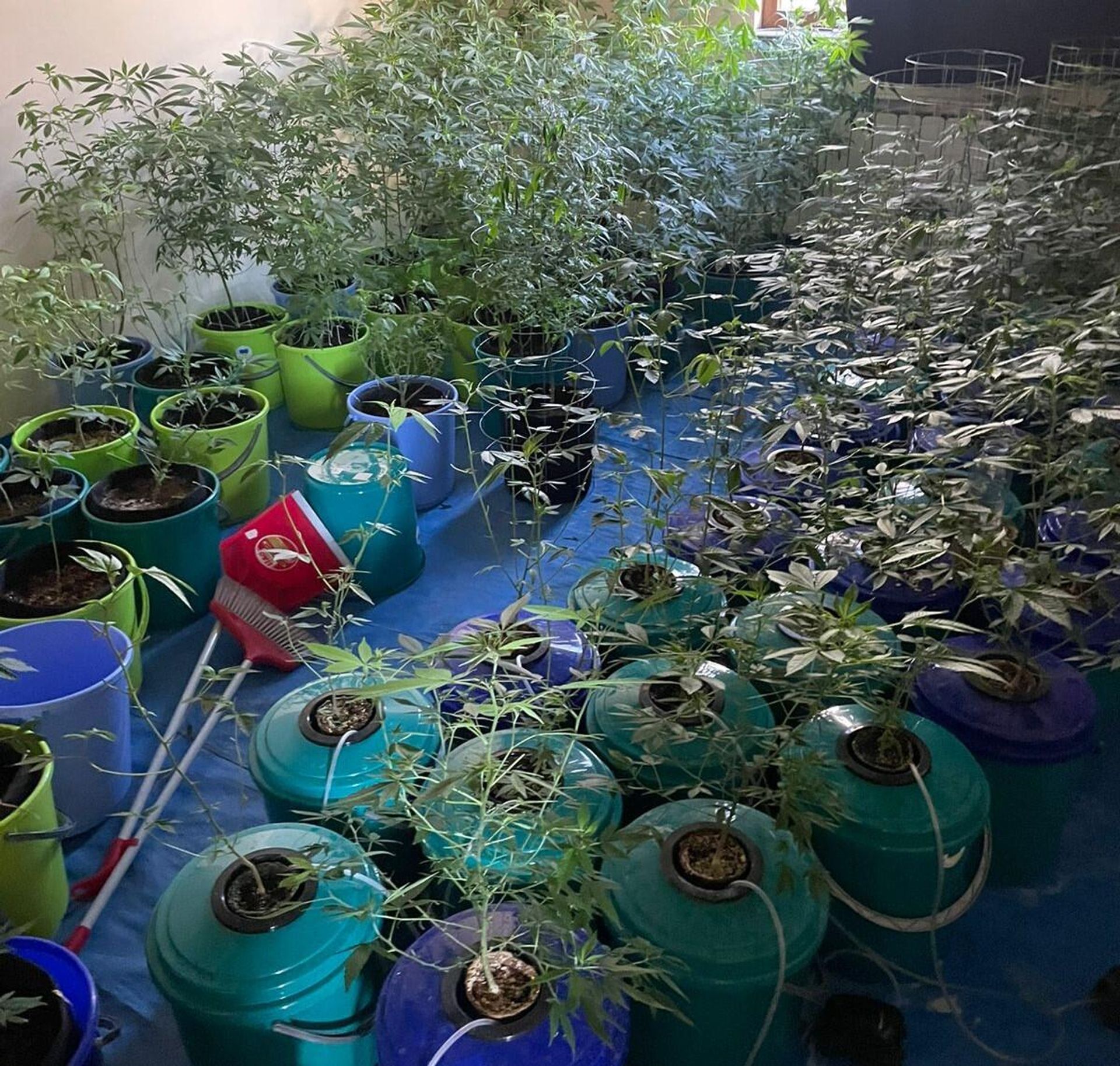 Лаборатория по производству наркотиков в двухэтажном доме по улице Норки Айгинер - Sputnik Արմենիա, 1920, 30.11.2023
