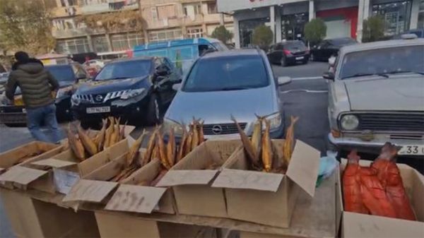 Երևանի փողոցներից առգրավվել է բացօթյա ապօրինի առևտրի առարկա հանդիսացող շուրջ 400 կգ սիգ տեսակի ձուկ և ձկնկիթ - Sputnik Արմենիա