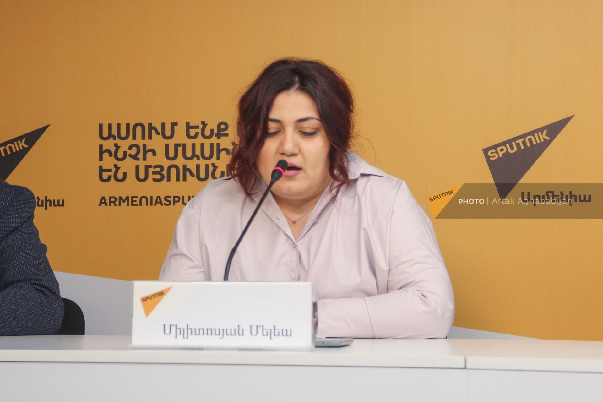 Милитосян Мелея на пресс-конференции представителей Ассоциации родителей детей с особенностями развития (9 декабря 2023). Еревaн - Sputnik Армения, 1920, 08.12.2023