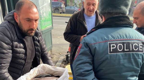 Պայքար ապօրինի փողոցային առևտրի դեմ Երևանում - Sputnik Արմենիա