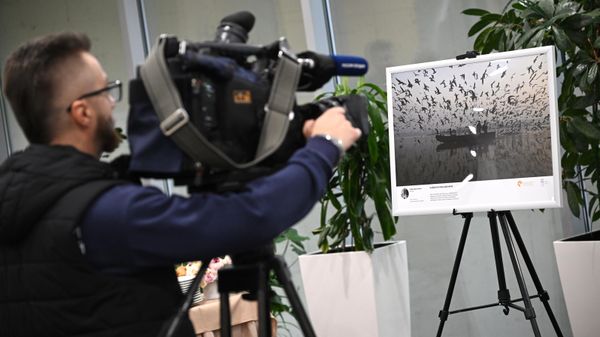 Видеооператор на фотовыставке перед началом торжественной церемонии объявления Гран-при и победителей конкурса фотожурналистики имени Андрея Стенина 2023 года в Международном мультимедийном пресс-центре Россия сегодня  (19 октября 2023). Москва - Sputnik Армения