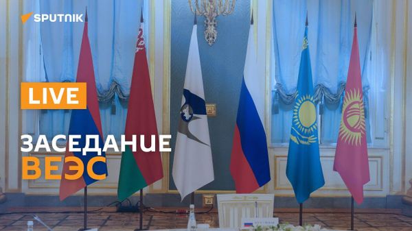 Заседание Высшего Евразийского экономического совета - Sputnik Армения
