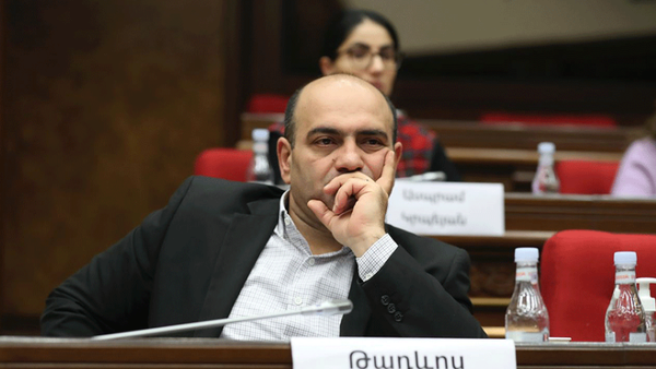 Իրական հնարավոր խնդիրներն անտեսվել են քաղաքական շահից ելնելով. Թադևոս Ավետիսյան - Sputnik Արմենիա