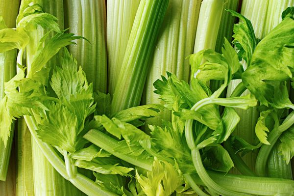 Топ-7 детокс-продуктов, которые здорово очистят организм от шлаков и токсинов Топ-7 детокс-продуктов, которые здорово очистят организм от шлаков и токсинов - Sputnik Армения
