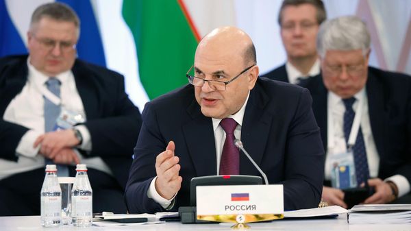 Председатель правительства РФ Михаил Мишустин участвует в заседании Евразийского межправительственного совета в широком составе (2 февраля 2024). Алматы - Sputnik Армения