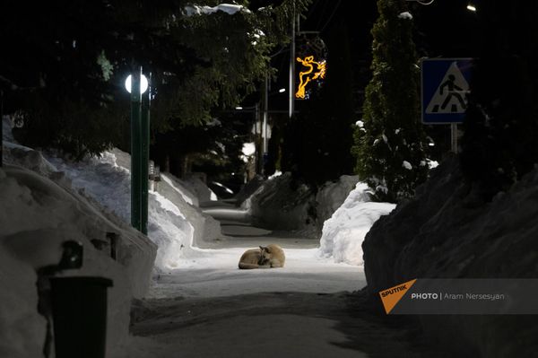 Зима в Джермуке - Sputnik Армения
