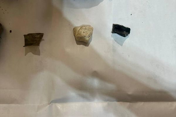 Հայտնաբերված գտածոները - Sputnik Արմենիա