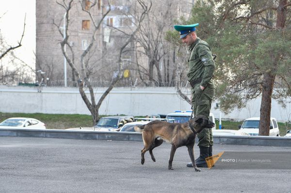 Показательное выступление специальных служебных собак пограничных войск РФ на территории погрануправления ФСБ РФ в РА по случаю Дня защитника Отечества (22 февраля 2024). Еревaн Показательное выступление специальных служебных собак пограничных войск РФ на территории погрануправления ФСБ РФ в РА по случаю Дня защитника Отечества (22 февраля 2024). Еревaн - Sputnik Армения