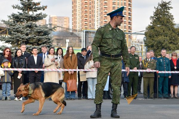 Показательное выступление специальных служебных собак пограничных войск РФ на территории погрануправления ФСБ РФ в РА по случаю Дня защитника Отечества (22 февраля 2024). Еревaн Показательное выступление специальных служебных собак пограничных войск РФ на территории погрануправления ФСБ РФ в РА по случаю Дня защитника Отечества (22 февраля 2024). Еревaн - Sputnik Армения