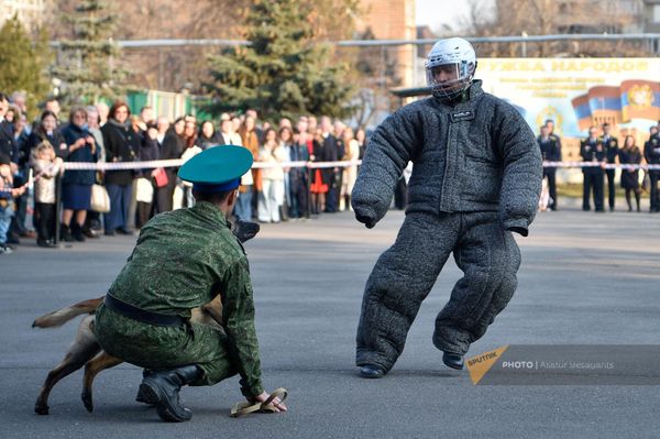 Показательное выступление специальных служебных собак пограничных войск РФ на территории погрануправления ФСБ РФ в РА по случаю Дня защитника Отечества (22 февраля 2024). Еревaн Показательное выступление специальных служебных собак пограничных войск РФ на территории погрануправления ФСБ РФ в РА по случаю Дня защитника Отечества (22 февраля 2024). Еревaн - Sputnik Армения